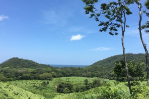 The Open Savanna at Big Sky Ranch Nicaragua