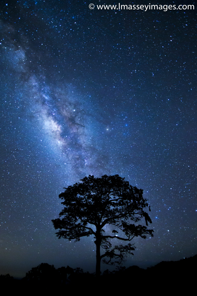 Night Sky at Big Sky is Star Gazing Magic Luke Massey