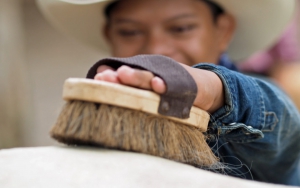 Therapeutic brush down for horse and groomer