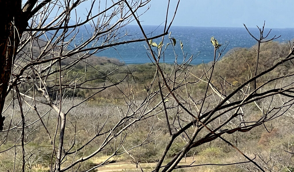 Lots For Sale Big Sky Ranch Nicaragua